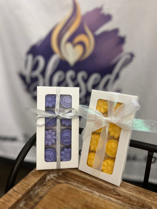 Chocolate Wax Melt Boxed Samples
