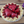 Cargar imagen en el visor de la galería, Vela de tarta de fresa - 6&quot;
